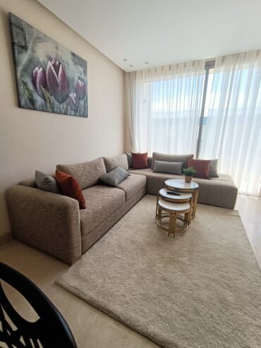 Studio meublé à louer quartier Princesse
