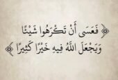 أستاذ ومعلم جميع المواد الأدبية