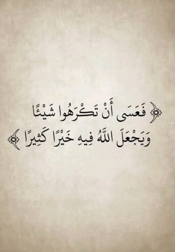 أستاذ ومعلم جميع المواد الأدبية