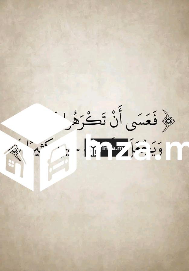 أستاذ ومعلم جميع المواد الأدبية