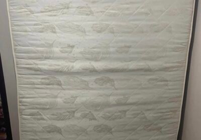 2981c7de-dd84-46fe-accd-cd9f699d2a9d