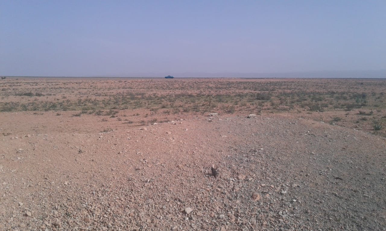 ارض فلاحية مساحة 20 هكتار