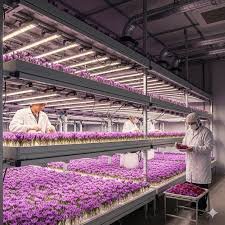 خبير واستشاري دولي في الزراعة المائية والهيدروبونيك والبيوت المحمية OFFRE DE SERVICE عرض خدمات احترافية