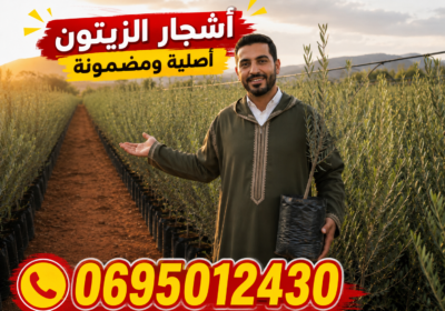 الرئيسية 34 1000034369